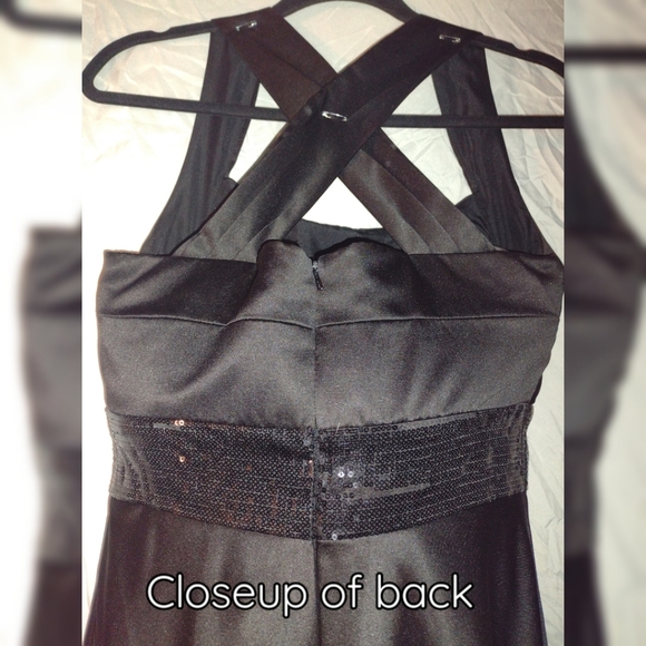 Alexia Couture Sequined Pleated A Line Gown - Picture 4 of 5